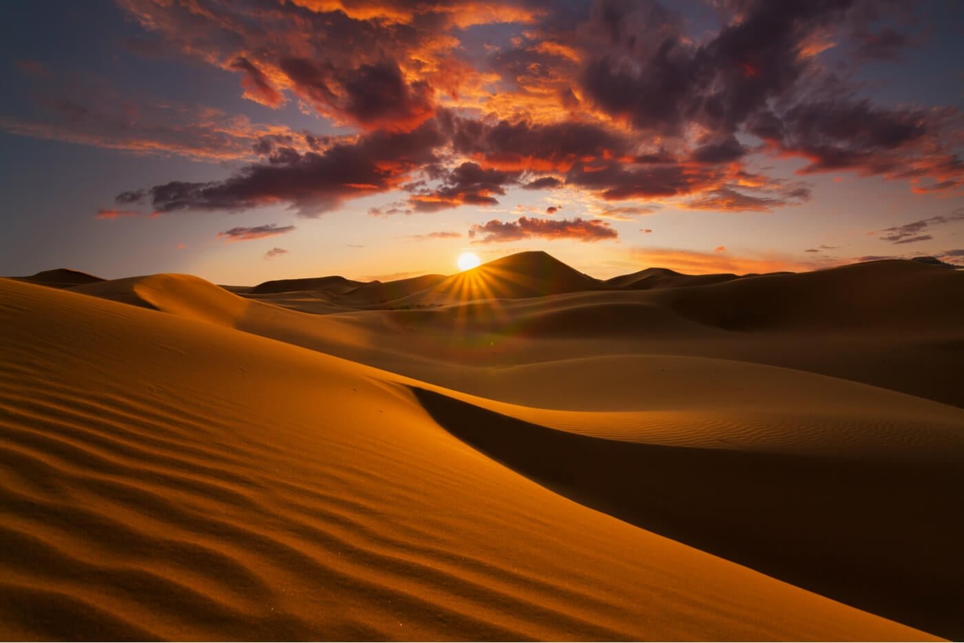 Sahara desert dunes at sunset